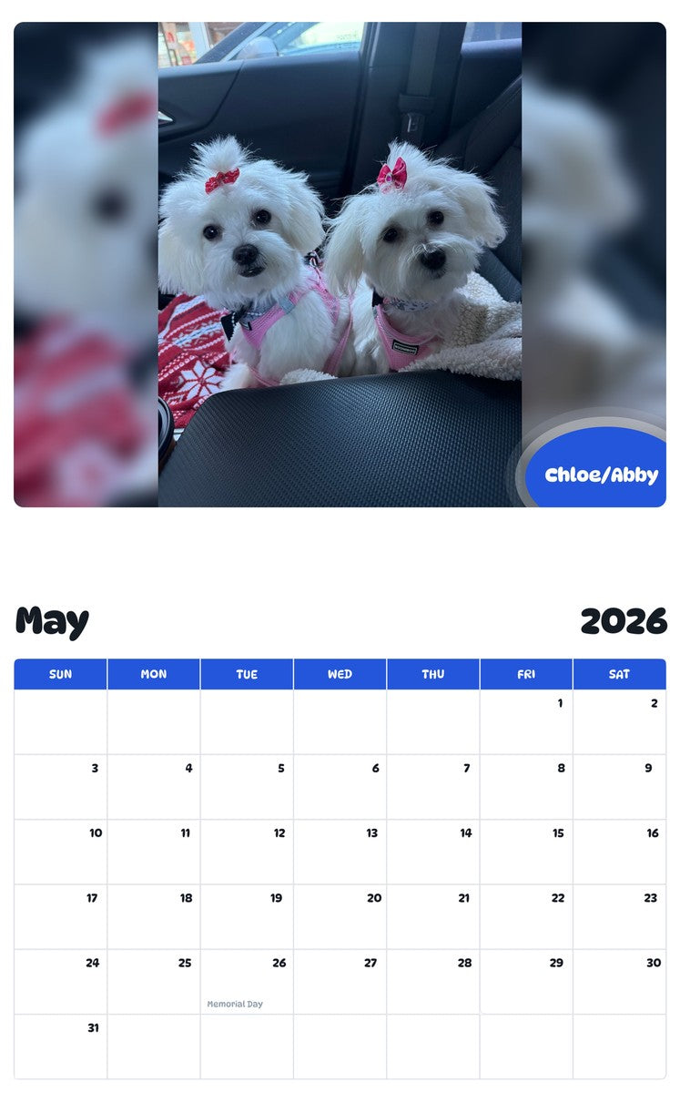 2026 - 2027 Chloe/Abby - Pawidols Pet Calendar