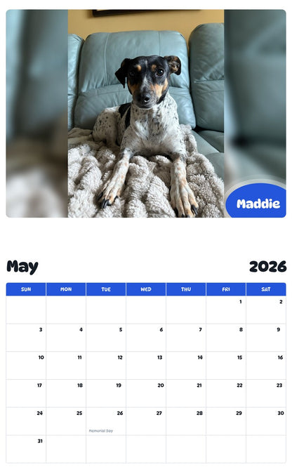 2026 - 2027 Maddie - Pawidols Pet Calendar