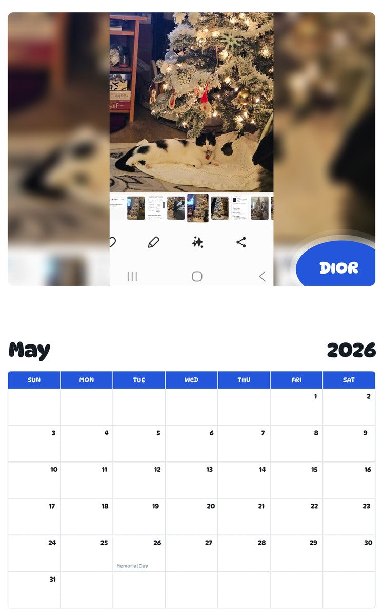 2026 - 2027 DIOR - Pawidols Pet Calendar