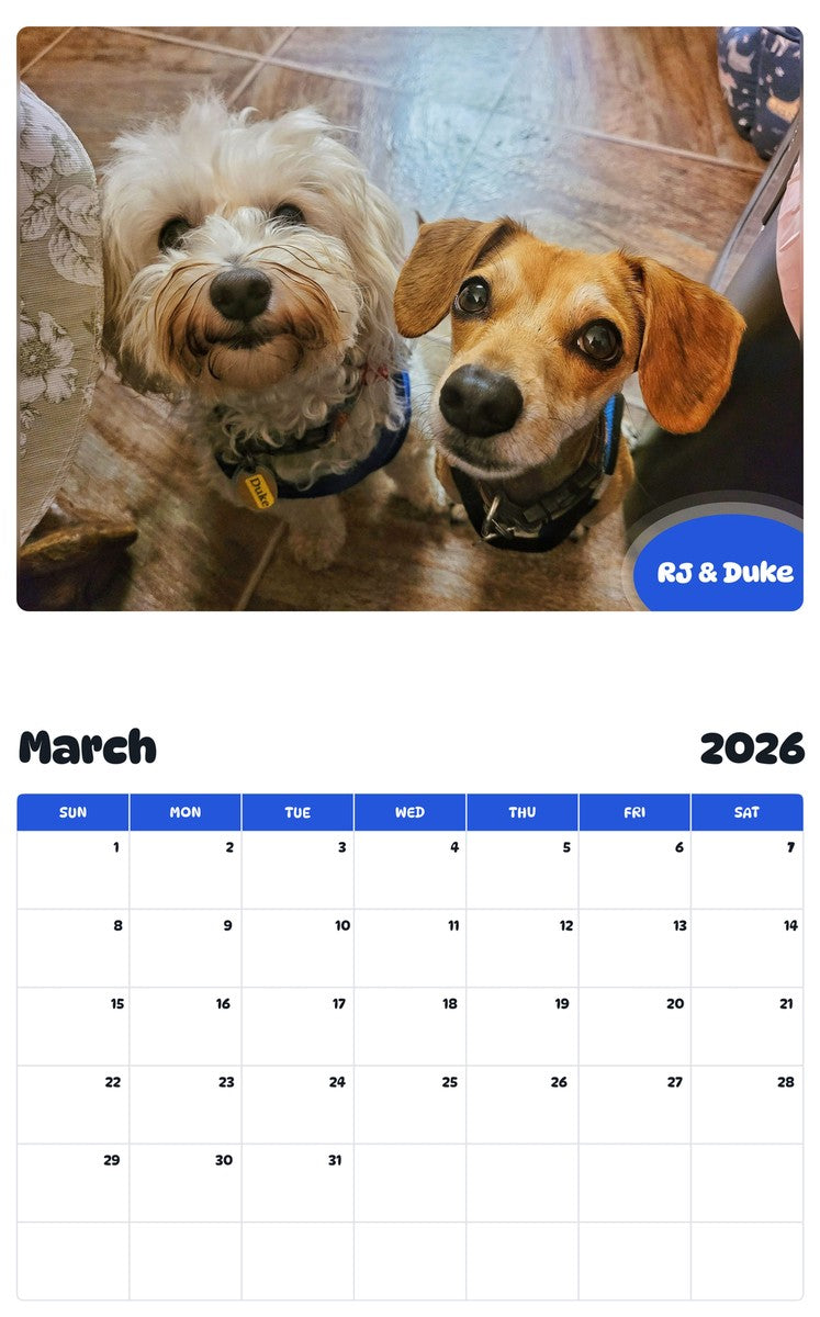 November 2025 - October 2026 RJ & Duke - Pawidols Pet Calendar