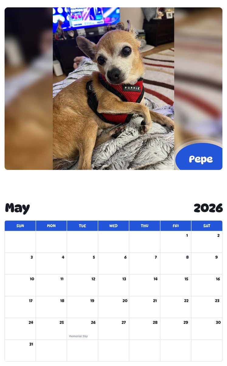 2026 - 2027 Pepe - Pawidols Pet Calendar