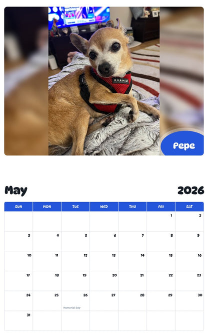 2026 - 2027 Pepe - Pawidols Pet Calendar