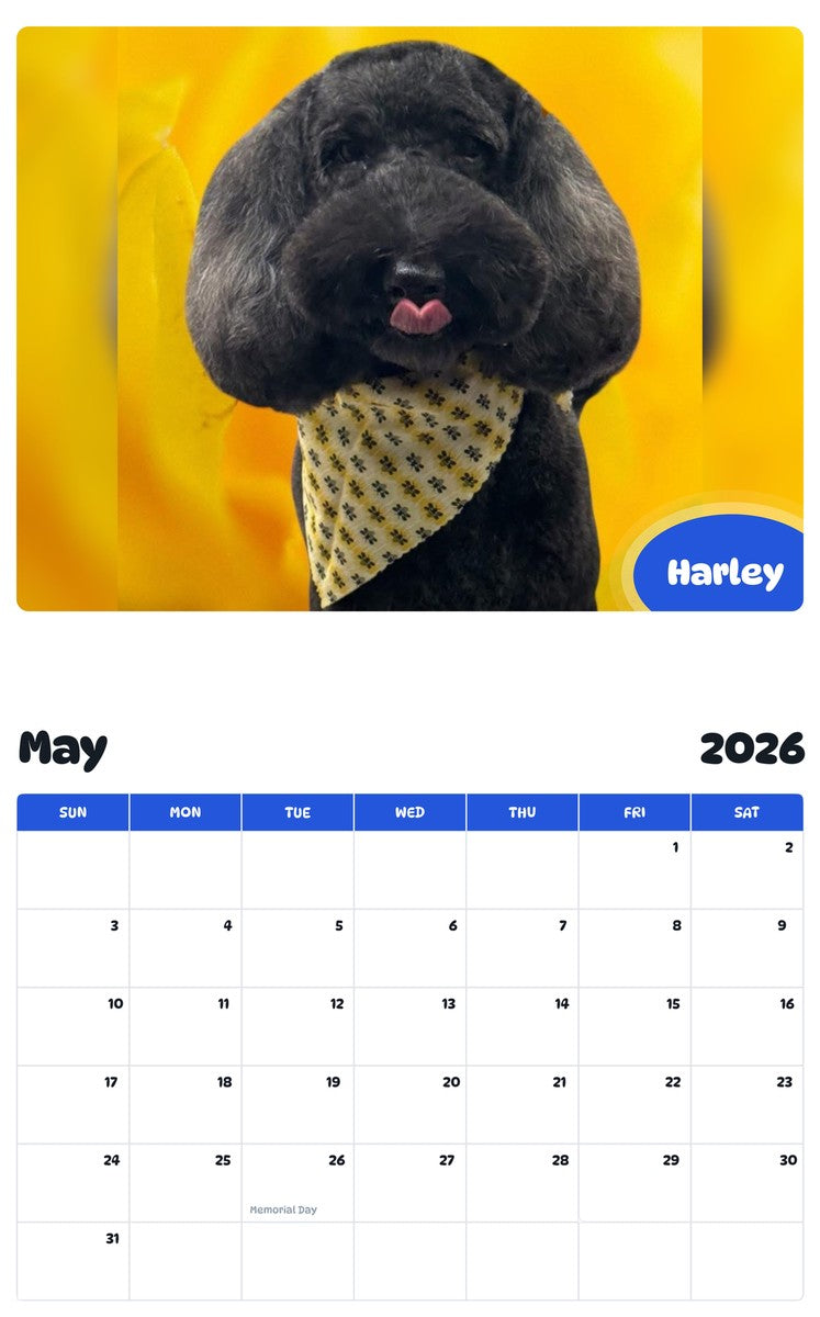 2026 - 2027 Harley - Pawidols Pet Calendar