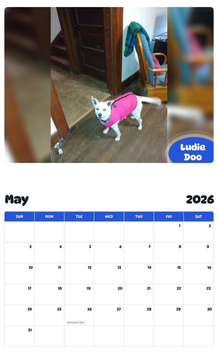 2026 - 2027 Ludie Doo - Pawidols Pet Calendar