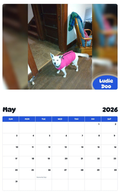 2026 - 2027 Ludie Doo - Pawidols Pet Calendar