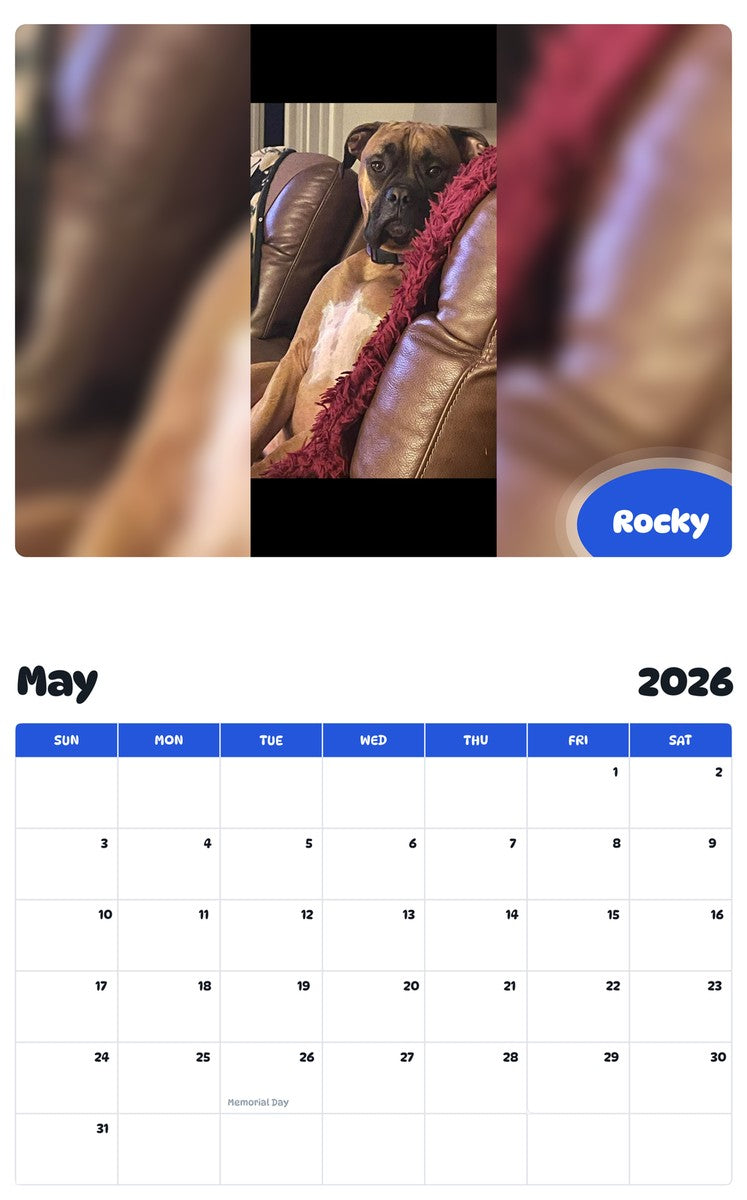 2026 - 2027 Rocky - Pawidols Pet Calendar