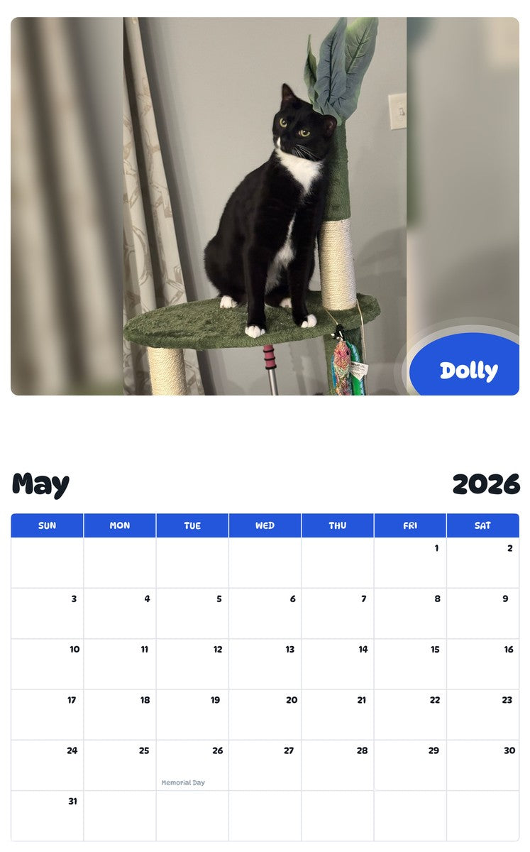 2026 - 2027 Dolly - Pawidols Pet Calendar
