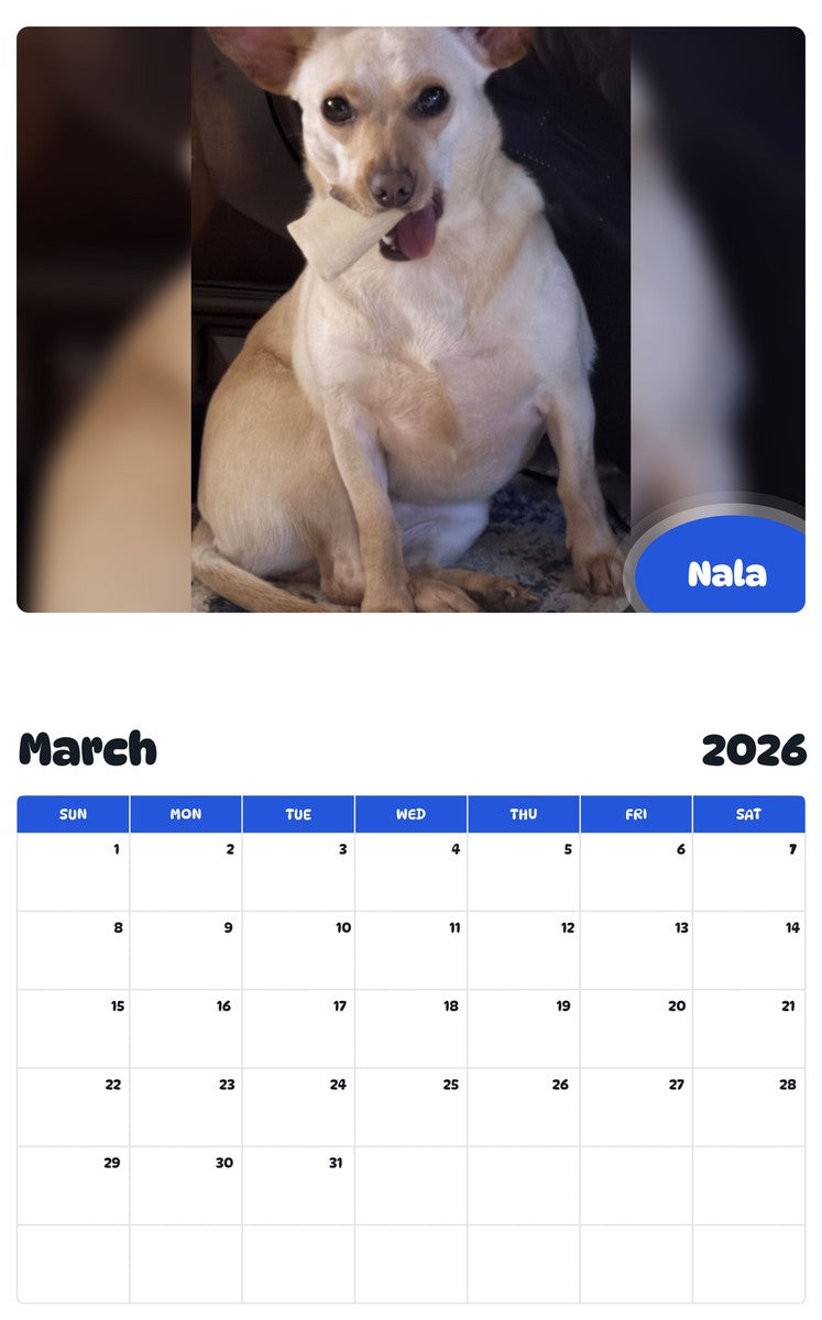November 2025 - October 2026 Nala - Pawidols Pet Calendar