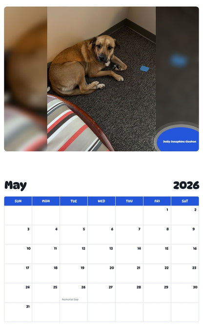 2026 - 2027 Dolly Josephine Ciochon - Pawidols Pet Calendar