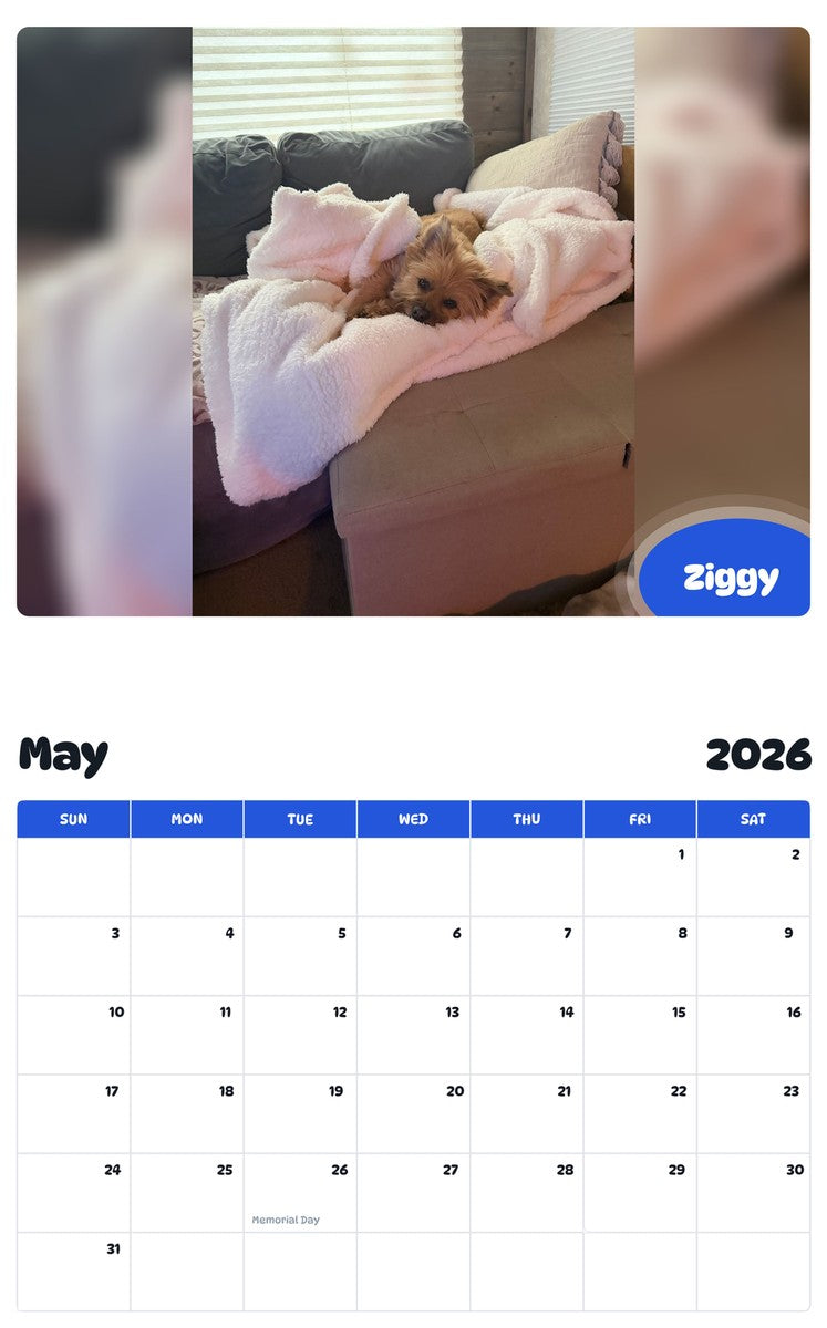 2026 - 2027 Ziggy - Pawidols Pet Calendar