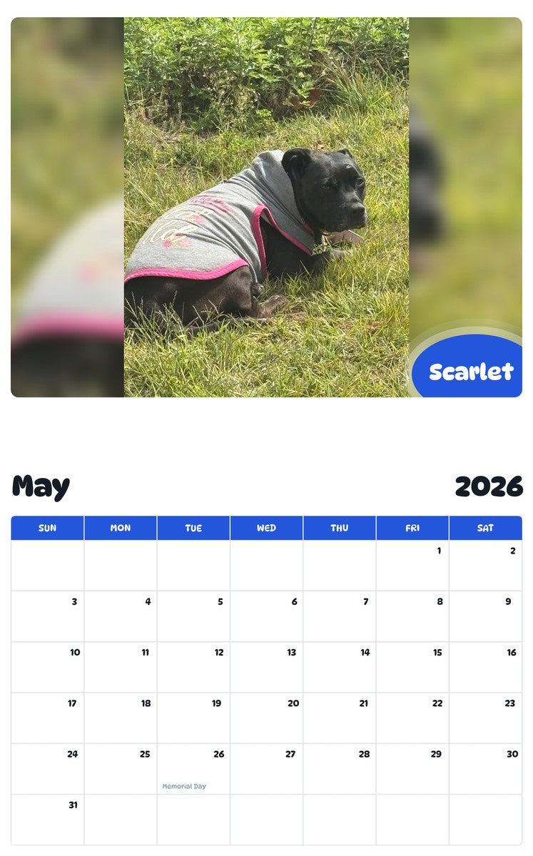 2026 - 2027 Scarlet - Pawidols Pet Calendar
