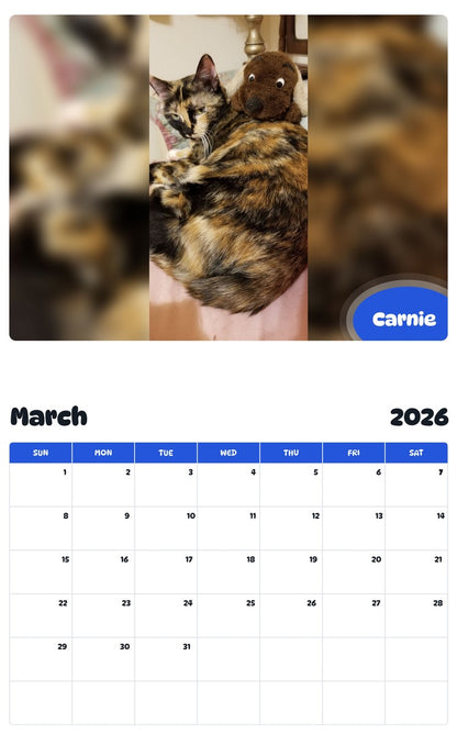 November 2025 - October 2026 Carnie - Pawidols Pet Calendar