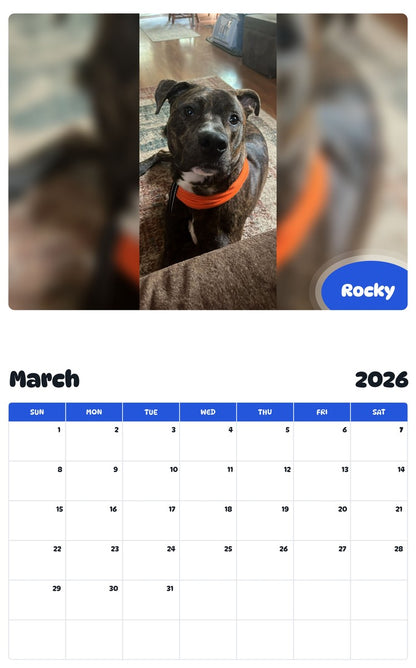 November 2025 - October 2026 Rocky - Pawidols Pet Calendar