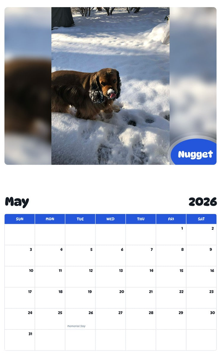 2026 - 2027 Nugget - Pawidols Pet Calendar