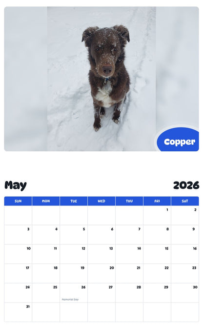 2026 - 2027 Copper - Pawidols Pet Calendar
