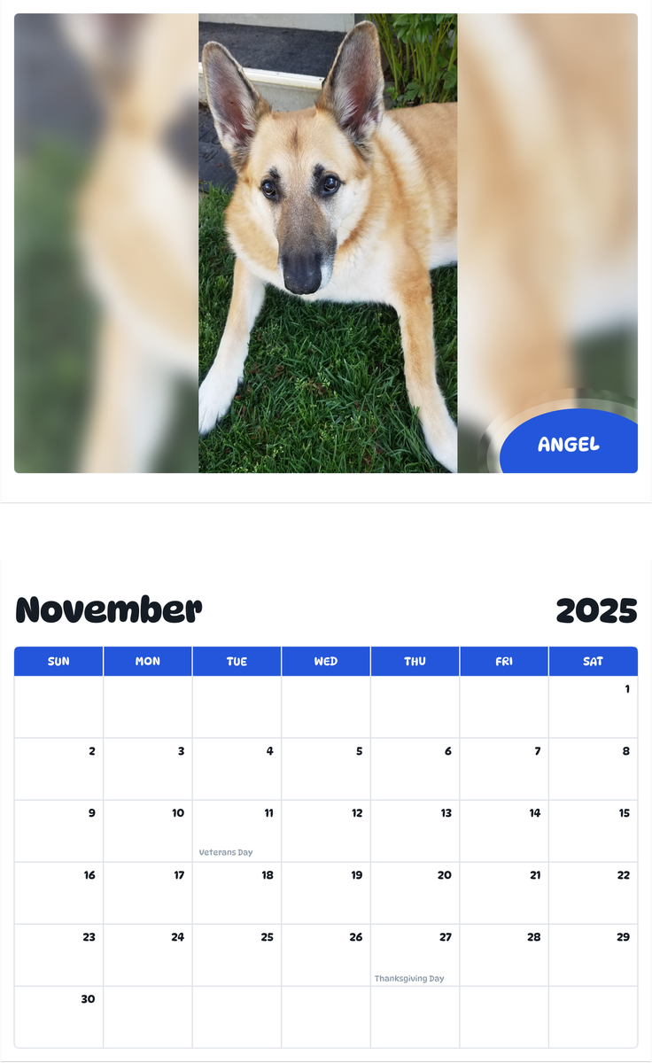 July 2025 - June 2026 Angel - Pawidols Pet Calendar