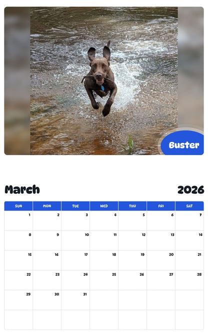 November 2025 - October 2026 Buster - Pawidols Pet Calendar