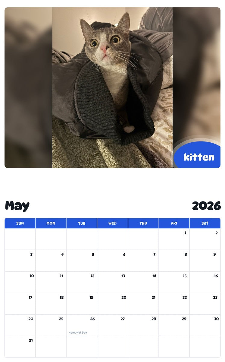 2026 - 2027 kitten - Pawidols Pet Calendar