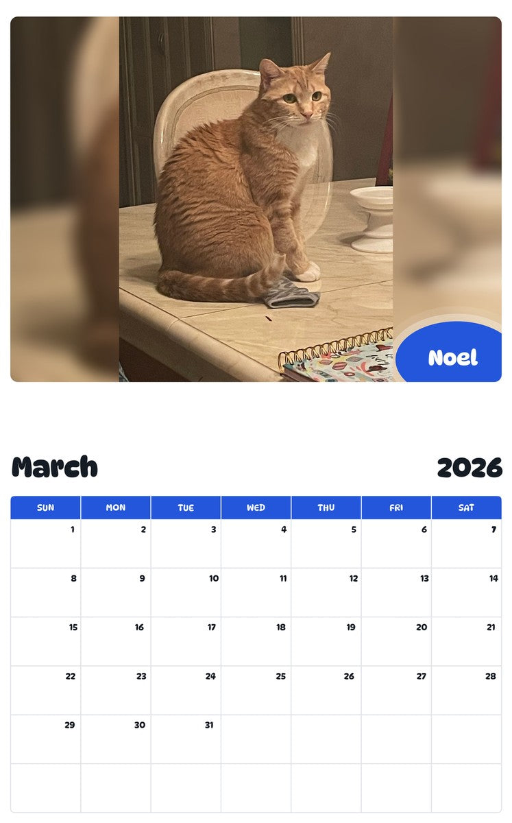 November 2025 - October 2026 Noel - Pawidols Pet Calendar