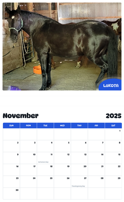 July 2025 - June 2026 Lakota - Pawidols Pet Calendar