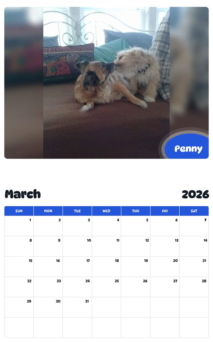 November 2025 - October 2026 Penny - Pawidols Pet Calendar