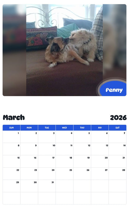 November 2025 - October 2026 Penny - Pawidols Pet Calendar