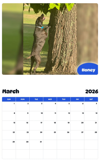 November 2025 - October 2026 Honey - Pawidols Pet Calendar