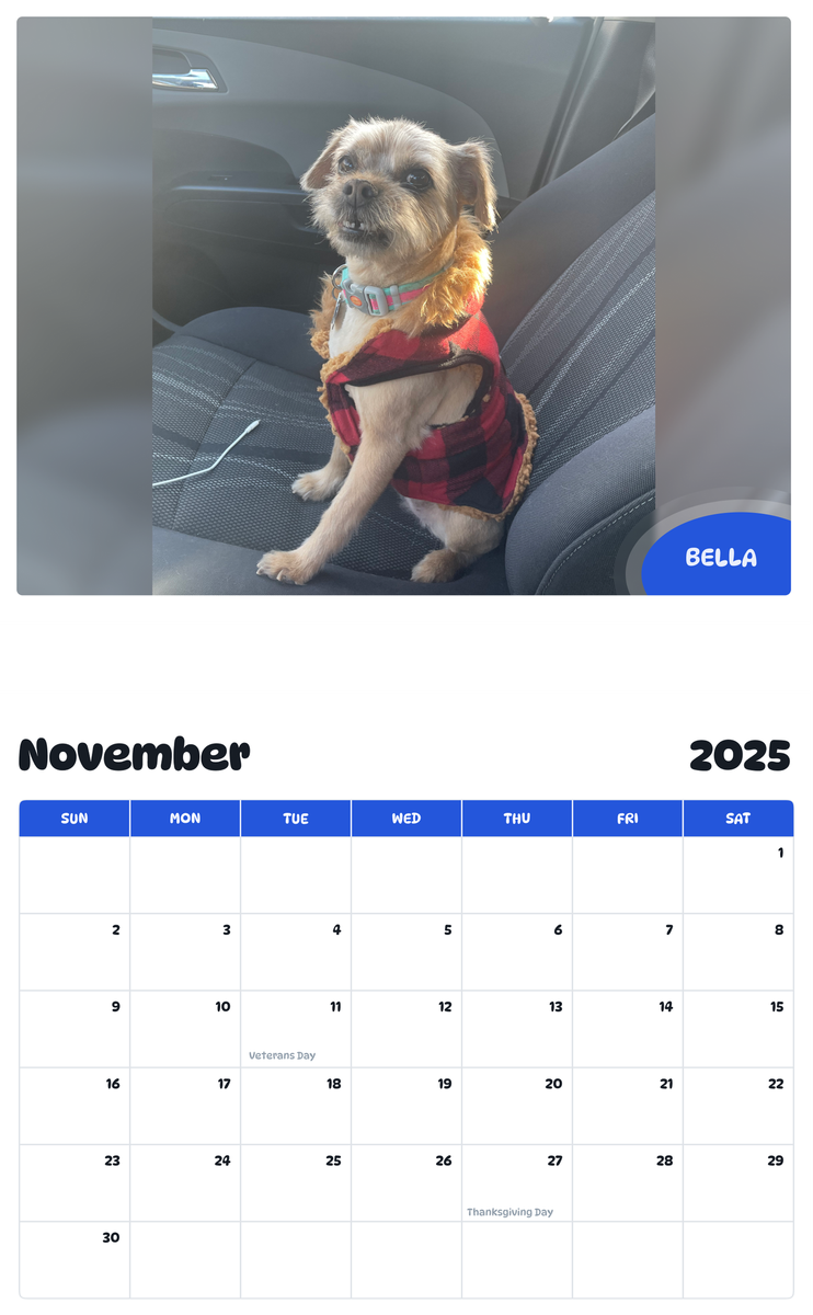 July 2025 - June 2026 Bella - Pawidols Pet Calendar
