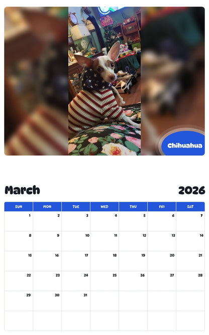 November 2025 - October 2026 Chihuahua - Pawidols Pet Calendar