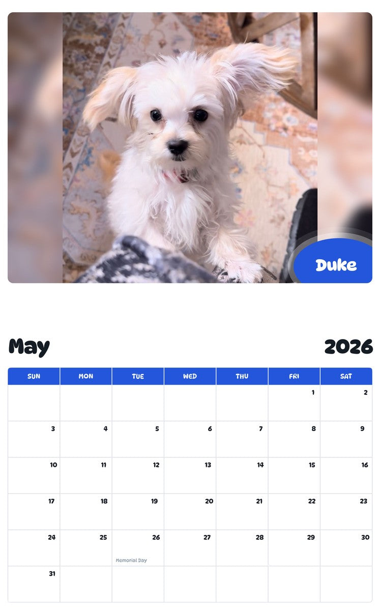 2026 - 2027 Duke - Pawidols Pet Calendar
