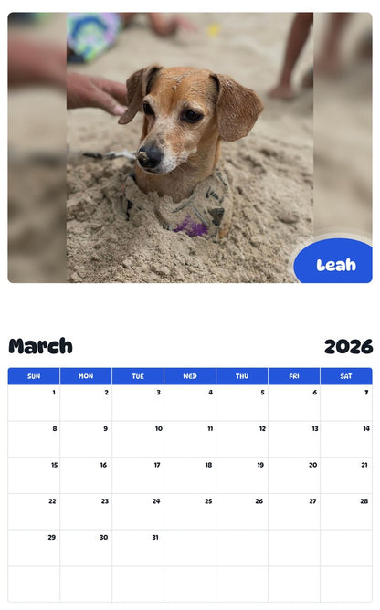 November 2025 - October 2026 Leah - Pawidols Pet Calendar
