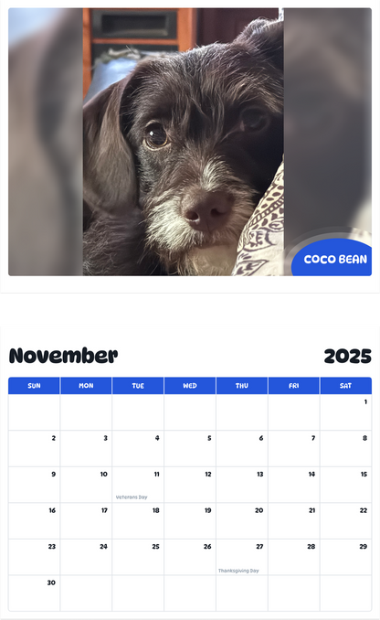 July 2025 - June 2026 Coco Bean - Pawidols Pet Calendar
