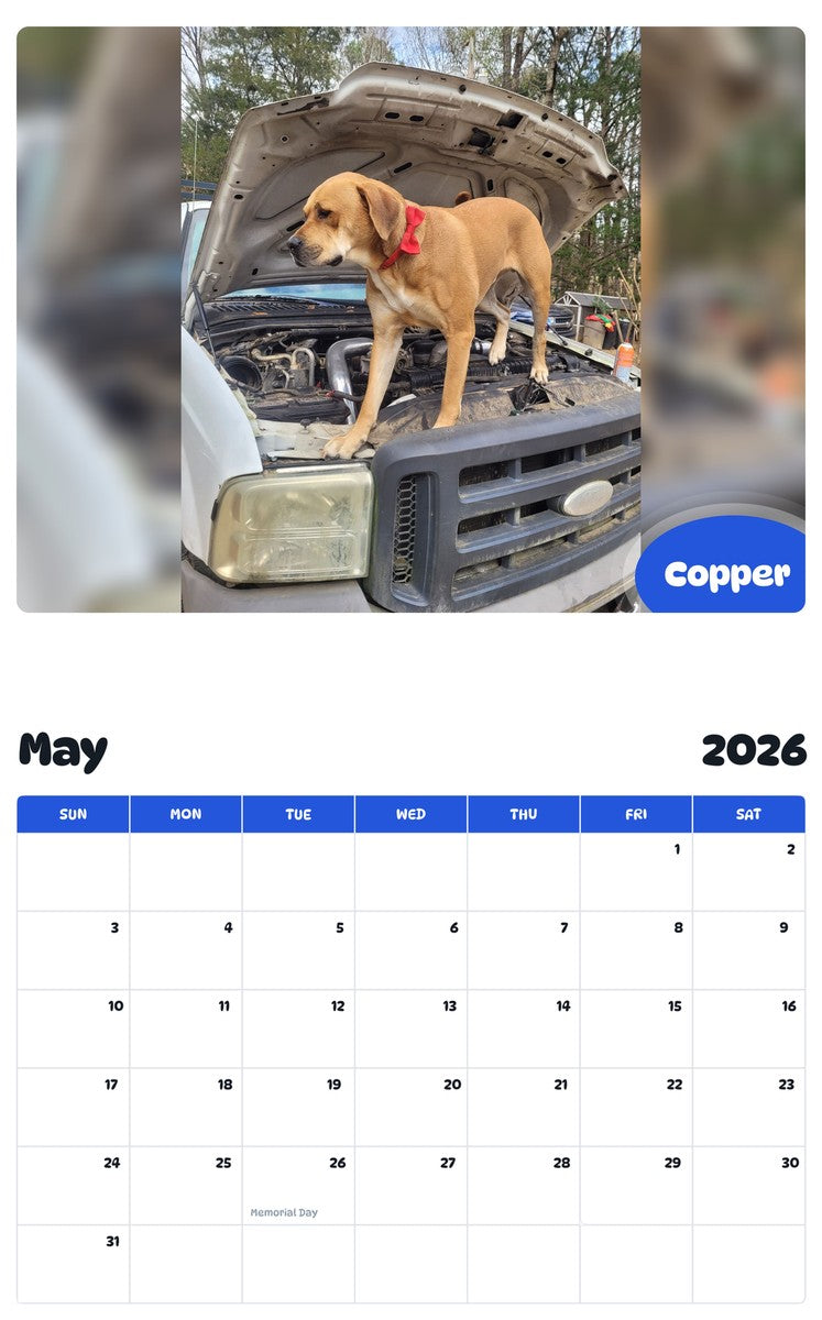 2026 - 2027 Copper - Pawidols Pet Calendar