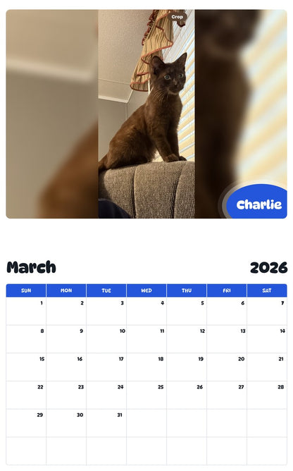 November 2025 - October 2026 Charlie - Pawidols Pet Calendar
