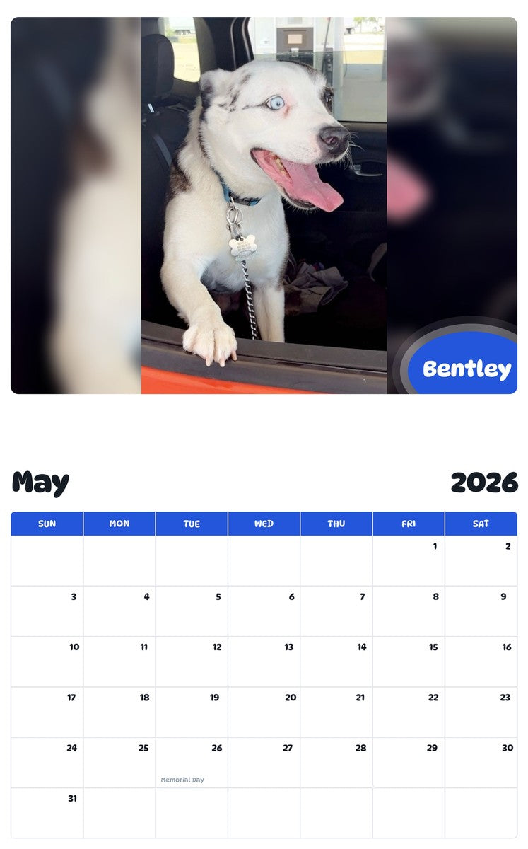 2026 - 2027 Bentley - Pawidols Pet Calendar