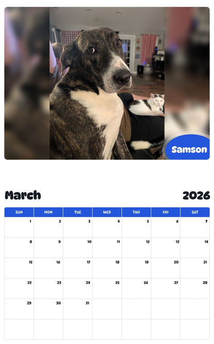 November 2025 - October 2026 Samson - Pawidols Pet Calendar