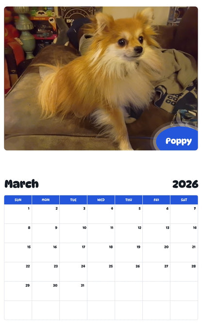 November 2025 - October 2026 Poppy - Pawidols Pet Calendar