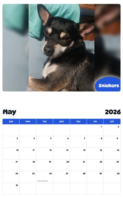 2026 - 2027 Snickers - Pawidols Pet Calendar