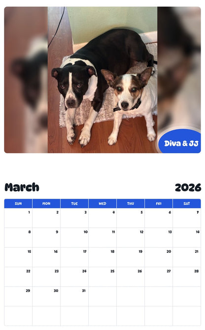 November 2025 - October 2026 Diva & JJ - Pawidols Pet Calendar
