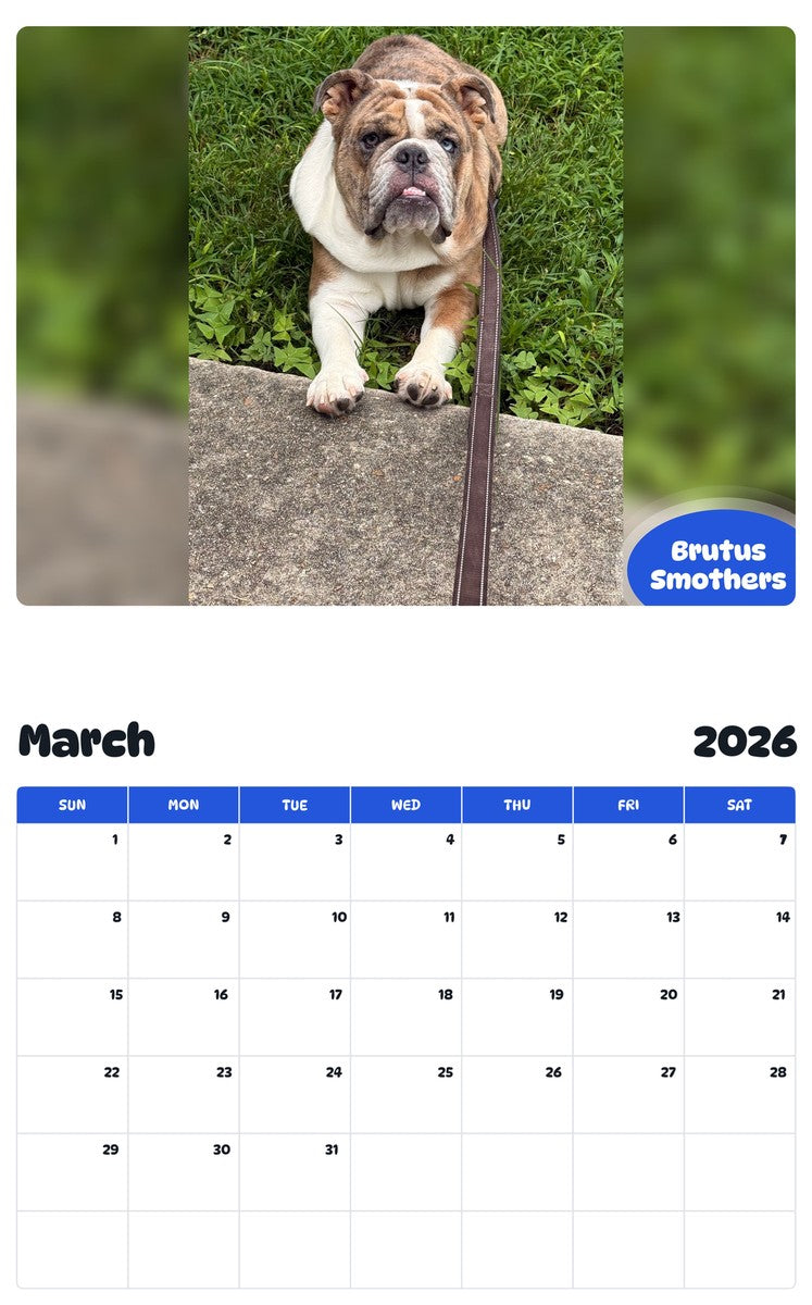 November 2025 - October 2026 Brutus Smothers - Pawidols Pet Calendar