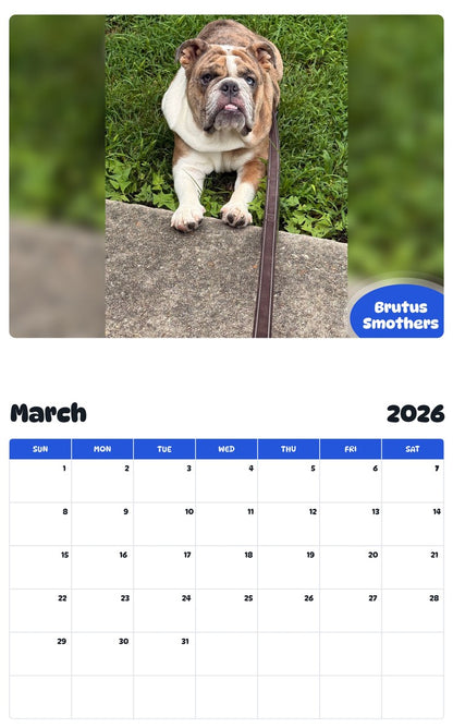 November 2025 - October 2026 Brutus Smothers - Pawidols Pet Calendar