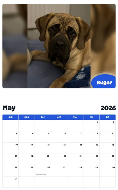 2026 - 2027 Ruger - Pawidols Pet Calendar