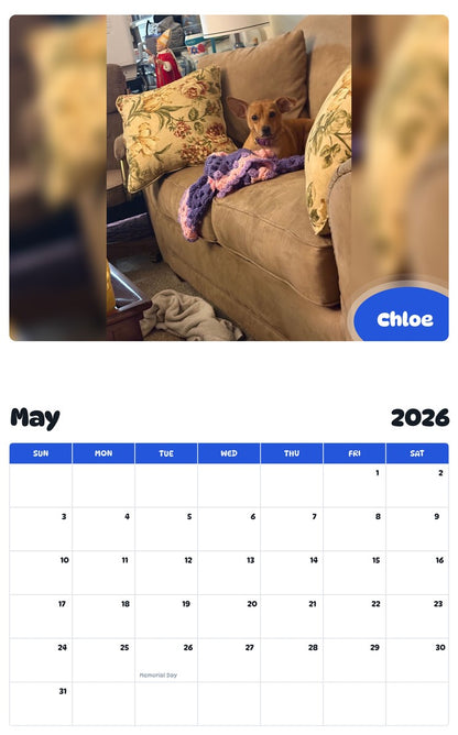 2026 - 2027 Chloe - Pawidols Pet Calendar
