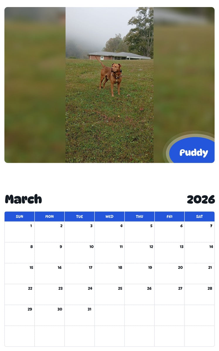 November 2025 - October 2026 Puddy - Pawidols Pet Calendar