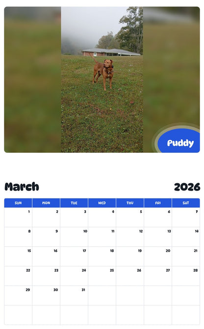 November 2025 - October 2026 Puddy - Pawidols Pet Calendar