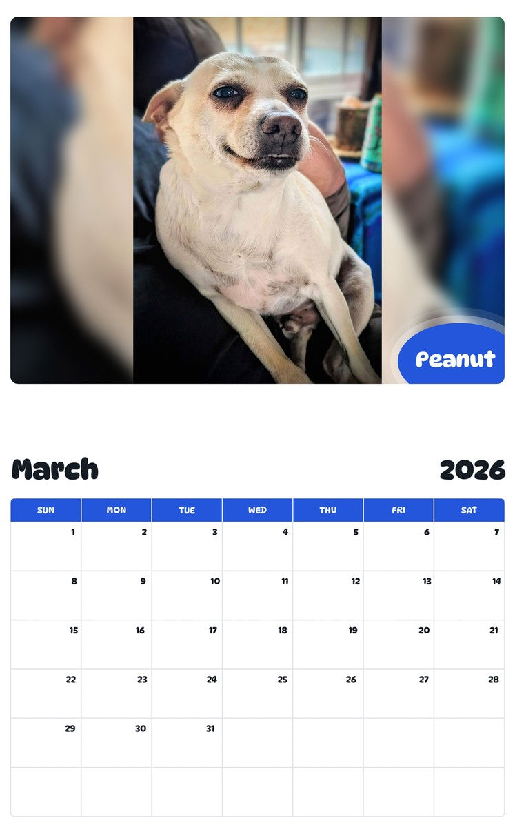 November 2025 - October 2026 Peanut - Pawidols Pet Calendar