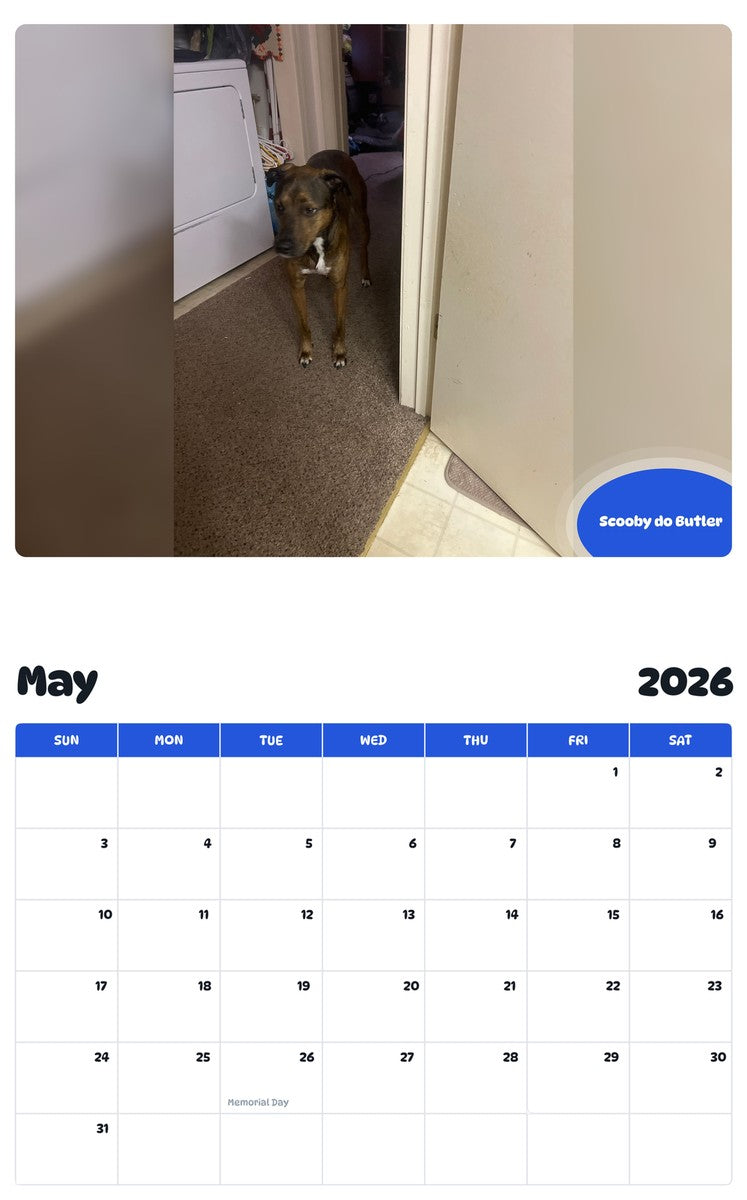2026 - 2027 Scooby do Butler - Pawidols Pet Calendar