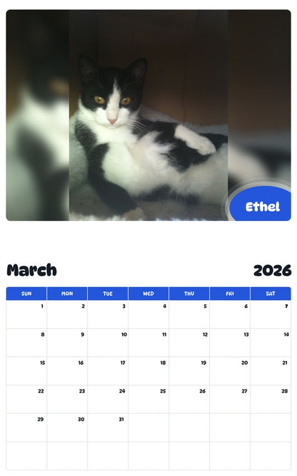 November 2025 - October 2026 Ethel - Pawidols Pet Calendar