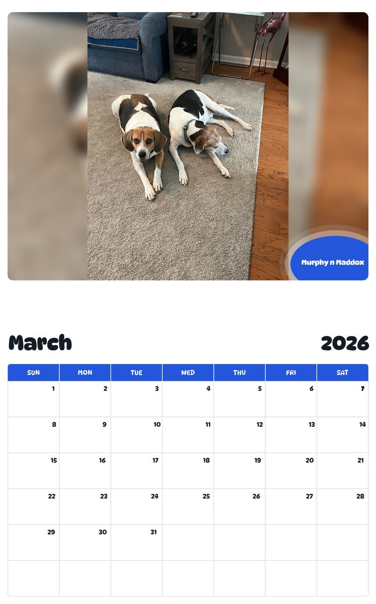 November 2025 - October 2026 Murphy n Maddox - Pawidols Pet Calendar