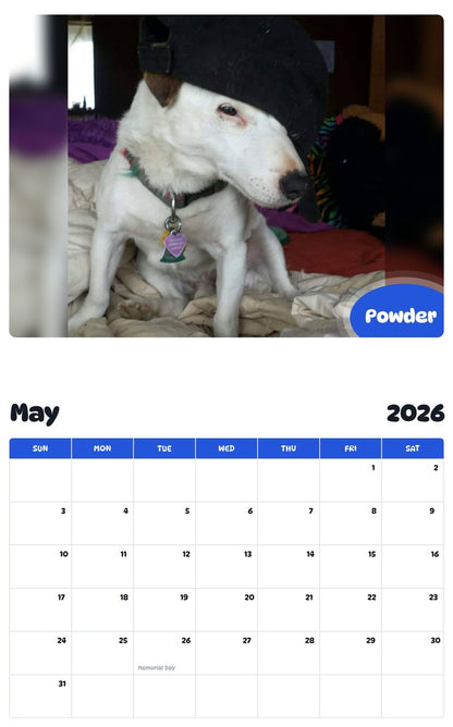 2026 - 2027 Powder - Pawidols Pet Calendar